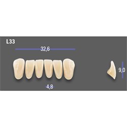 MFT 2M2 L33 Anterior x6