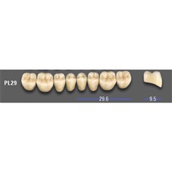 VITA MFT Lower Posterior Classical Shade A1 Mould PL29