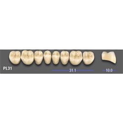VITA MFT Lower Posterior Classical Shade A1 Mould PL31