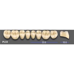 VITA MFT Lower Posterior Classical Shade A1 Mould PL33