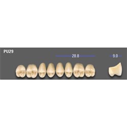 VITA MFT Upper Posterior Classical Shade A1 Mould PU29