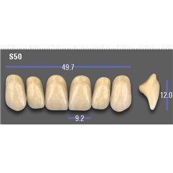 VITA MFT Upper Anterior Classical Shade A1 Mould S50