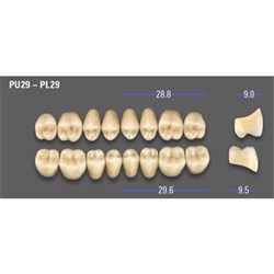 VITA MFT Lower Posterior Classical Shade A2 Mould PU29