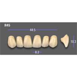 VITA MFT Upper Anterior Classical Shade A2 Mould R45