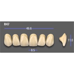 VITA MFT Upper Anterior Classical Shade A2 Mould R47