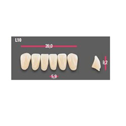 Vitapan 3D Anterior Shade A1 Lower Mould L10 Set 6