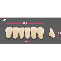 Vitapan Anterior Shade A1 Lower Mould L14 Set 6