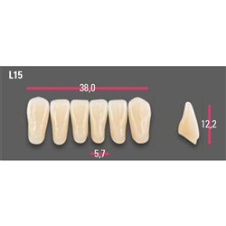 Vitapan Anterior Shade A1 Lower Mould L15 Set 6