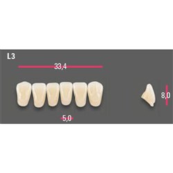 Vitapan Anterior Shade A1 Lower Mould L3 Set 6