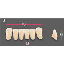 Vitapan Anterior Shade A1 Lower Mould L8 Set 6