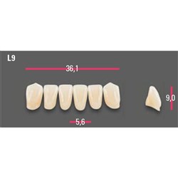 Vitapan Anterior Shade A1 Lower Mould L9 Set 6