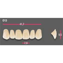 Vitapan Anterior Shade A1 Upper Mould O13 Set 6