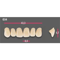 Vitapan Anterior Shade A1 Upper Mould O34 Set 6