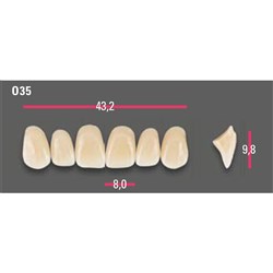 Vitapan Anterior Shade A1 Upper Mould O35 Set 6