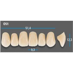 Vitapan Plus Anterior Shade A1 Upper Mould O51 Set 6