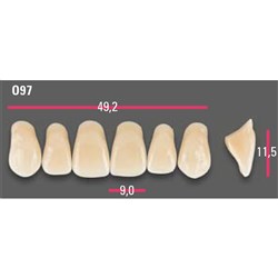 Vitapan Anterior Shade A1 Upper Mould O97 Set 6