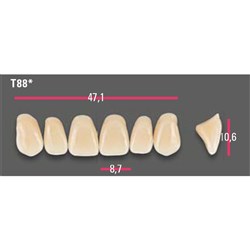 Vitapan Anterior Shade A1 Upper Mould T88 Set 6