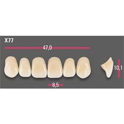 Vitapan Anterior Shade A1 Upper Mould X77 Set 6