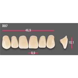 Vitapan Anterior Shade A1 Upper Mould X87 Set 6