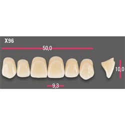 Vitapan Anterior Shade A1 Upper Mould X96 Set 6