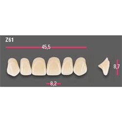 Vitapan Anterior Shade A1 Upper Mould Z61 Set 6