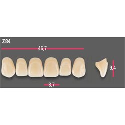 Vitapan Anterior Shade A1 Upper Mould Z84 Set 6