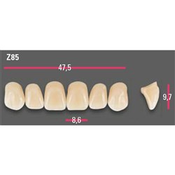 Vitapan Anterior Shade A1 Upper Mould Z85 Set 6