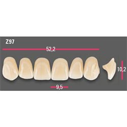 Vitapan Anterior Shade A1 Upper Mould Z97 Set 6