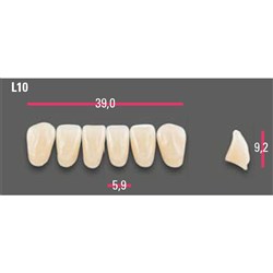 Vitapan Anterior Shade A2 Lower Mould L10 Set 6