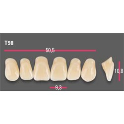 Vitapan Anterior Shade A2 Upper Mould T98 Set 6