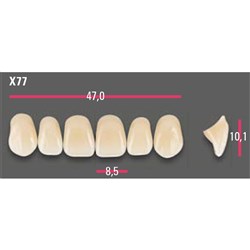 Vitapan Anterior Shade A2 Upper Mould X77 Set 6