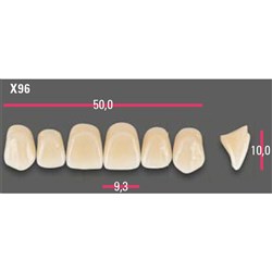 Vitapan Anterior Shade A2 Upper Mould X96 Set 6