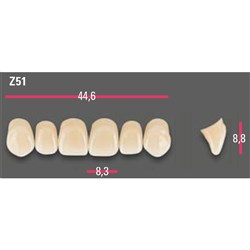 Vitapan Anterior Shade A2 Upper Mould Z51 Set 6