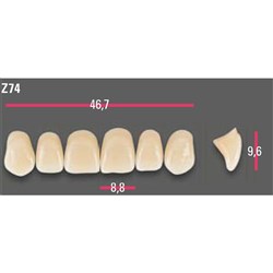 Vitapan Anterior Shade A2 Upper Mould Z74 Set 6