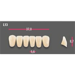 Vitapan Anterior Shade A3 Lower Mould L13 Set 6