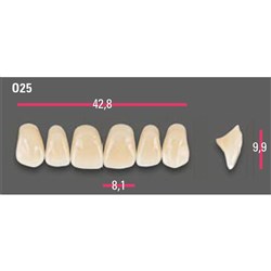 Vitapan Anterior Shade A3 Upper Mould O25 Set 6