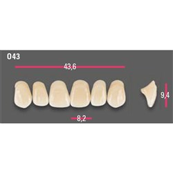 Vitapan Anterior Shade A3 Upper Mould O43 Set 6