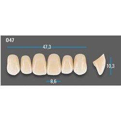 Vitapan Plus Anterior Shade A3 Upper Mould O47 Set 6