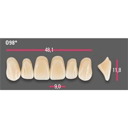 Vitapan Anterior Shade A3 Upper Mould O98 Set 6
