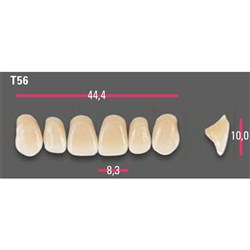 Vitapan Anterior Shade A3 Upper Mould T56 Set 6