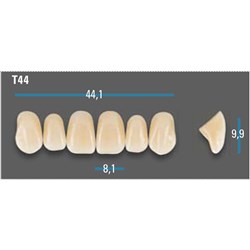 Vitapan Plus Anterior Shade A3.5 Upper Mould T44 Set 6