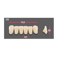 Vitapan Anterior Shade A4 Lower Mould L12 Set 6