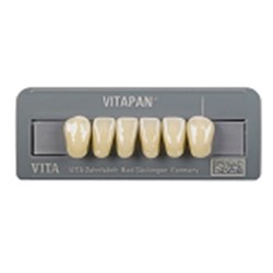 Vitapan Anteriors/ 6
