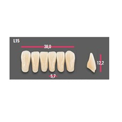 Vitapan Anterior Shade B3 Lower Mould L15 Set 6