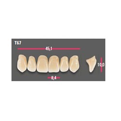 Vitapan Anterior Shade B3 Upper Mould T67 Set 6