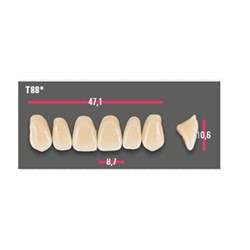 Vitapan Anterior Shade B4 Upper Mould T88 Set 6