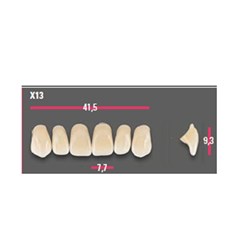 Vitapan Anterior Shade B4 Upper Mould X13 Set 6