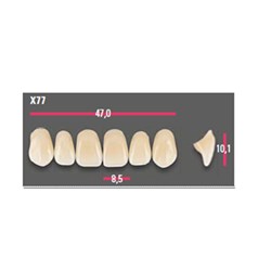 Vitapan Anterior Shade B4 Upper Mould X77 Set 6