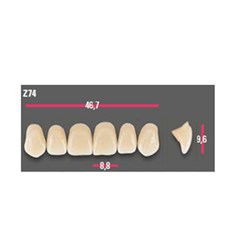 Vitapan Anterior Shade B4 Upper Mould Z74 Set 6