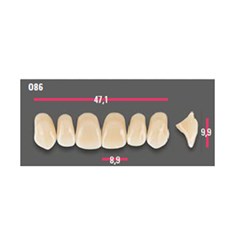 Vitapan Anterior Shade C1 Upper Mould O86 Set 6